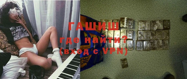 индика Богданович