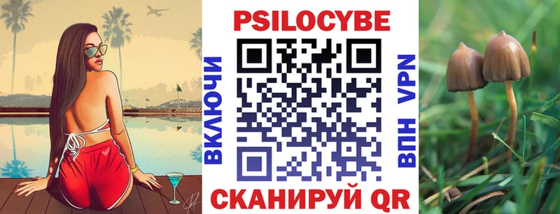 Псилоцибиновые грибы Magic Shrooms  Вяземский 